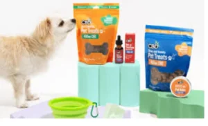 5 Essential Tips for Using CBD for Pets